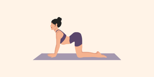 woman practicing yoga in cat cow pose v1