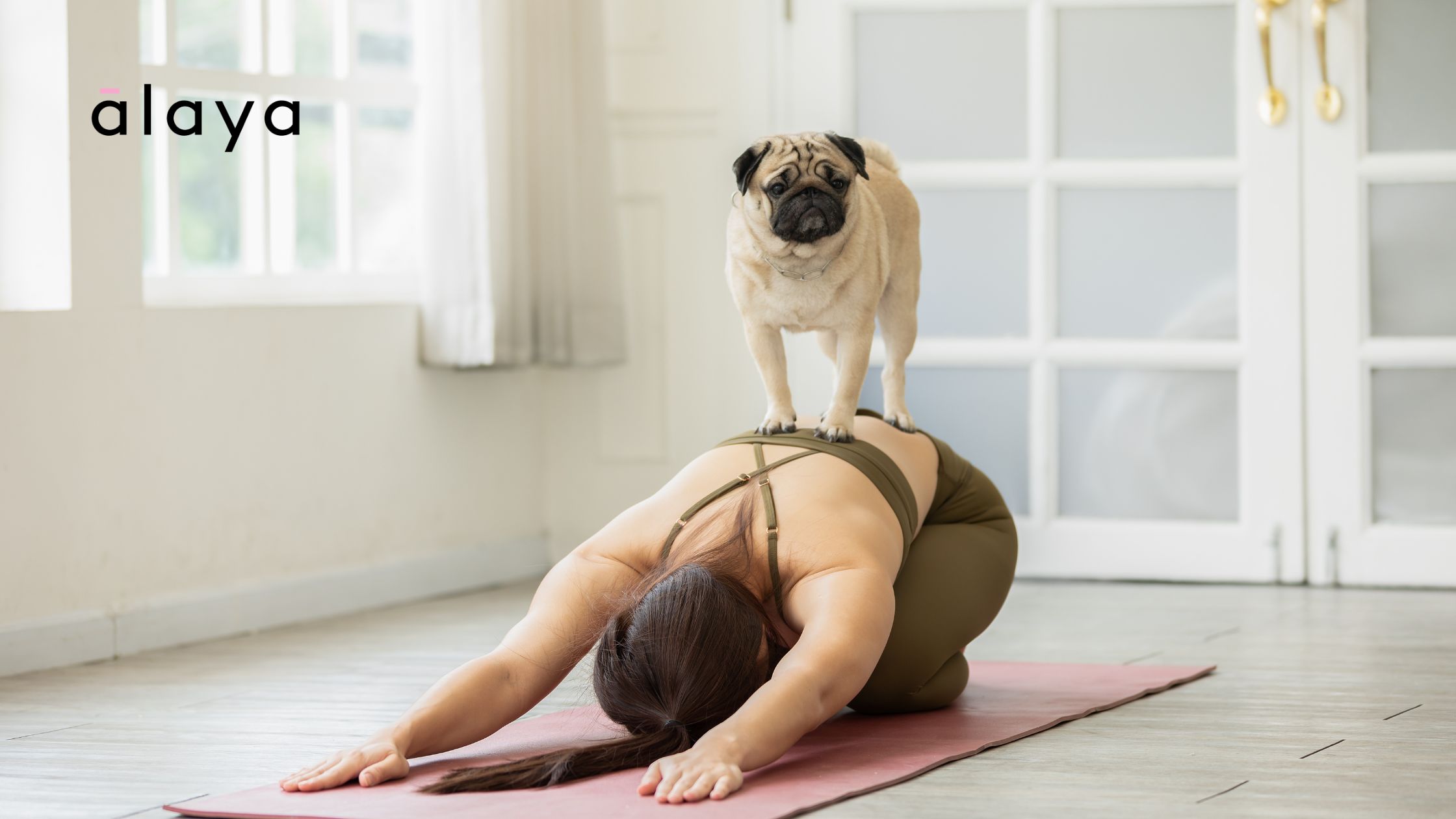 Woman practising yoga for burnout recovery at home with her dog